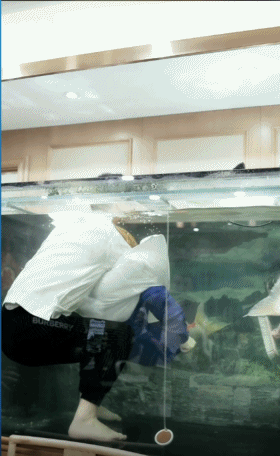 K哥秒榜，王小源跳鱼缸捞锦鲤！