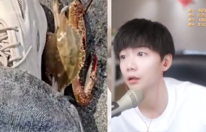 海鲜吃不完！九情垂钓技术让人惊叹