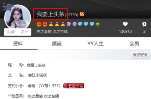 圆梦！小猫咪意外斩获头条！