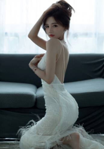 4300万小猫咪7年圆梦谢众人！