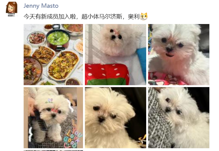 兰梦莎：欢迎新成员加入