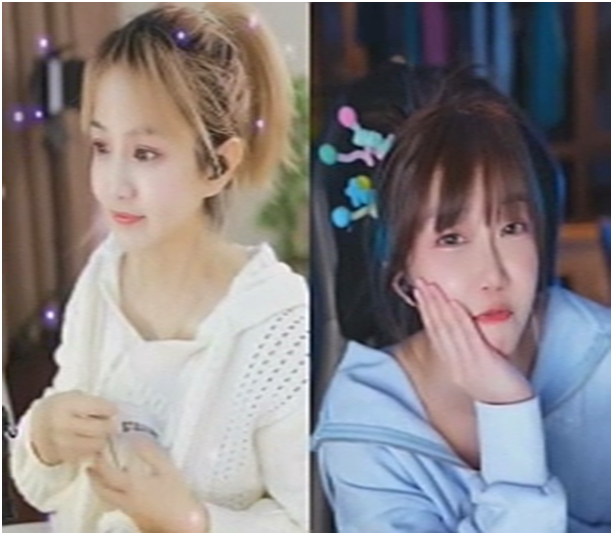 依旧是电母，典典回归就吃饱！