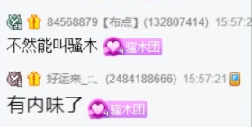 舞蹈大比拼，猫咪不敌木梳！