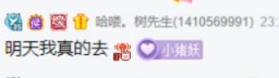 树哥想网恋，文儿举双手报名！