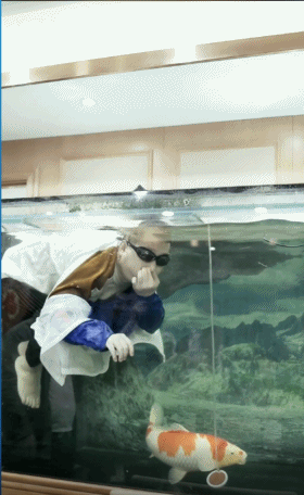 K哥秒榜，王小源跳鱼缸捞锦鲤！