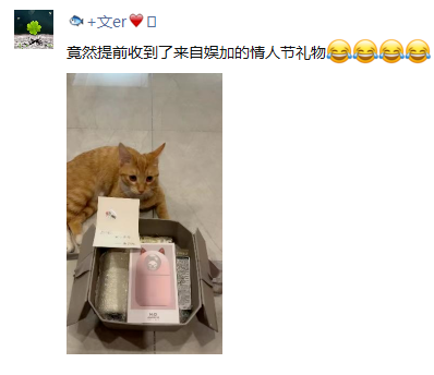 YY日报：情人节，神豪主播各种秀