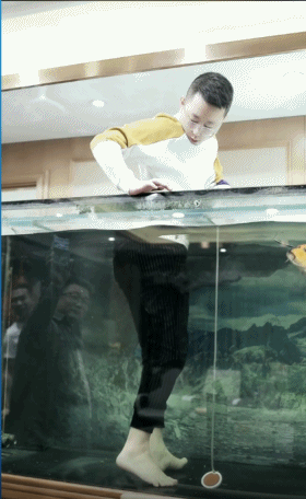 K哥秒榜，王小源跳鱼缸捞锦鲤！