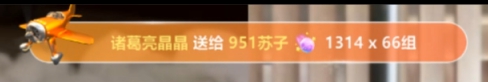 苏子与大哥奔现，小哥哥出镜！