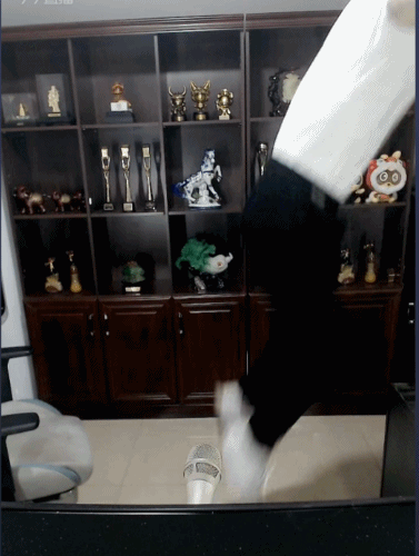 小白龙展示功夫，现场翻车！