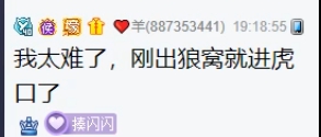 羊总好友小号来，闪闪想当老板娘