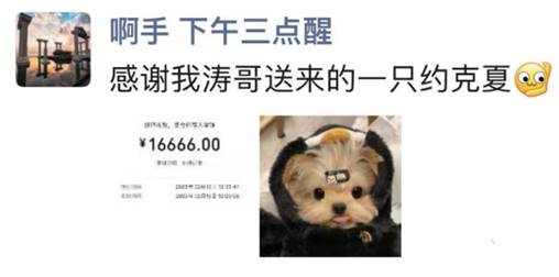 YY日报：情人节，神豪主播各种秀