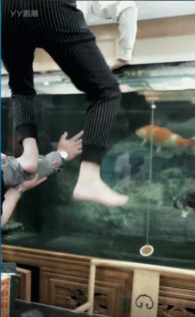 K哥秒榜，王小源跳鱼缸捞锦鲤！