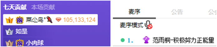 她成为了YY的最大黑马，鸟哥全程守护！
