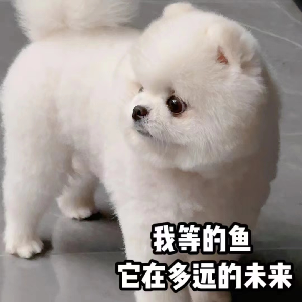 微凉道晚安，晒今日最新自拍！