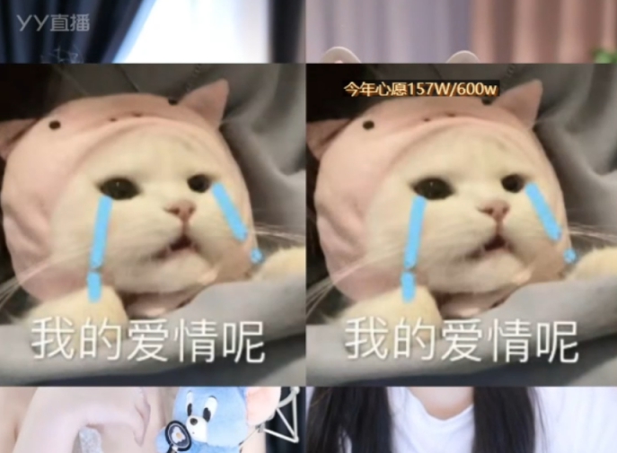 九皇子百万追爱，馋哭微凉和流氓夏