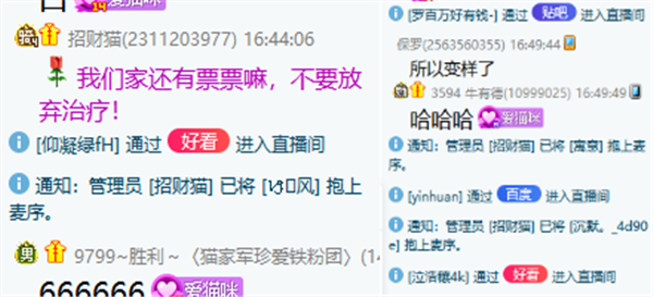 小猫咪实力吸粉！获数位百度大哥支持？