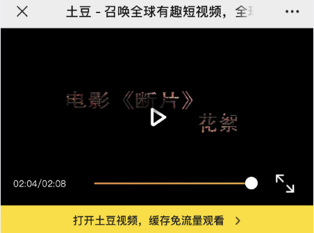 舆论漫天！小猫咪辟谣照片事件
