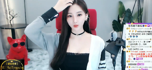 小猫咪身材好，竟是这个原因