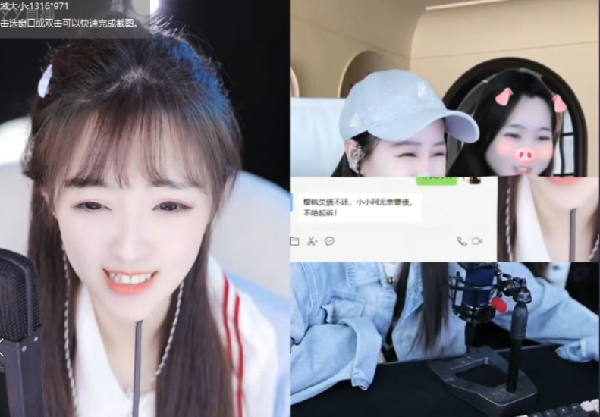 樱桃欠债一年不还，小呵无奈起诉