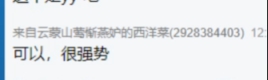 猫咪筹备舞台，万事俱备差灯光！